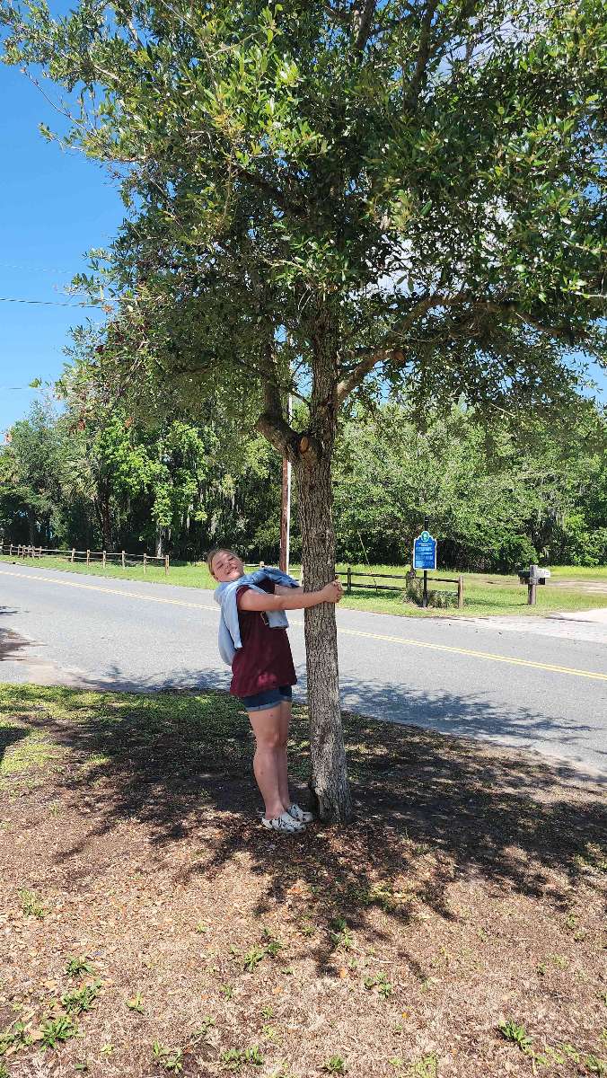 Crystal River Scavenger Hunt scavenger hunt photos