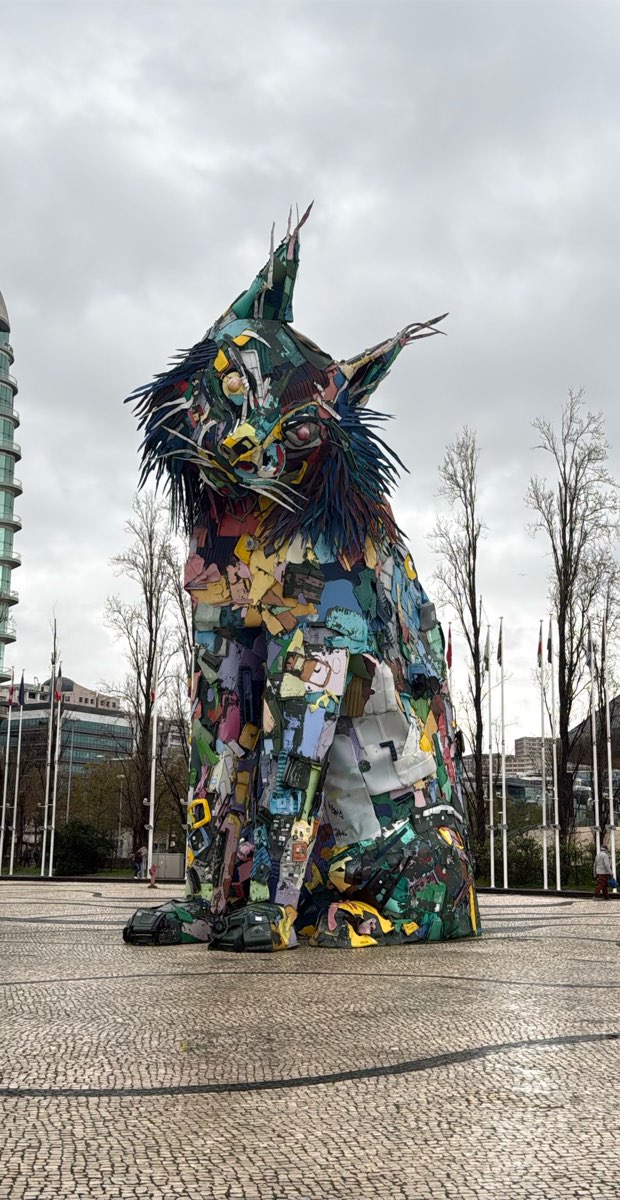 Lisbon Portugal Bar Crawl scavenger hunt photos