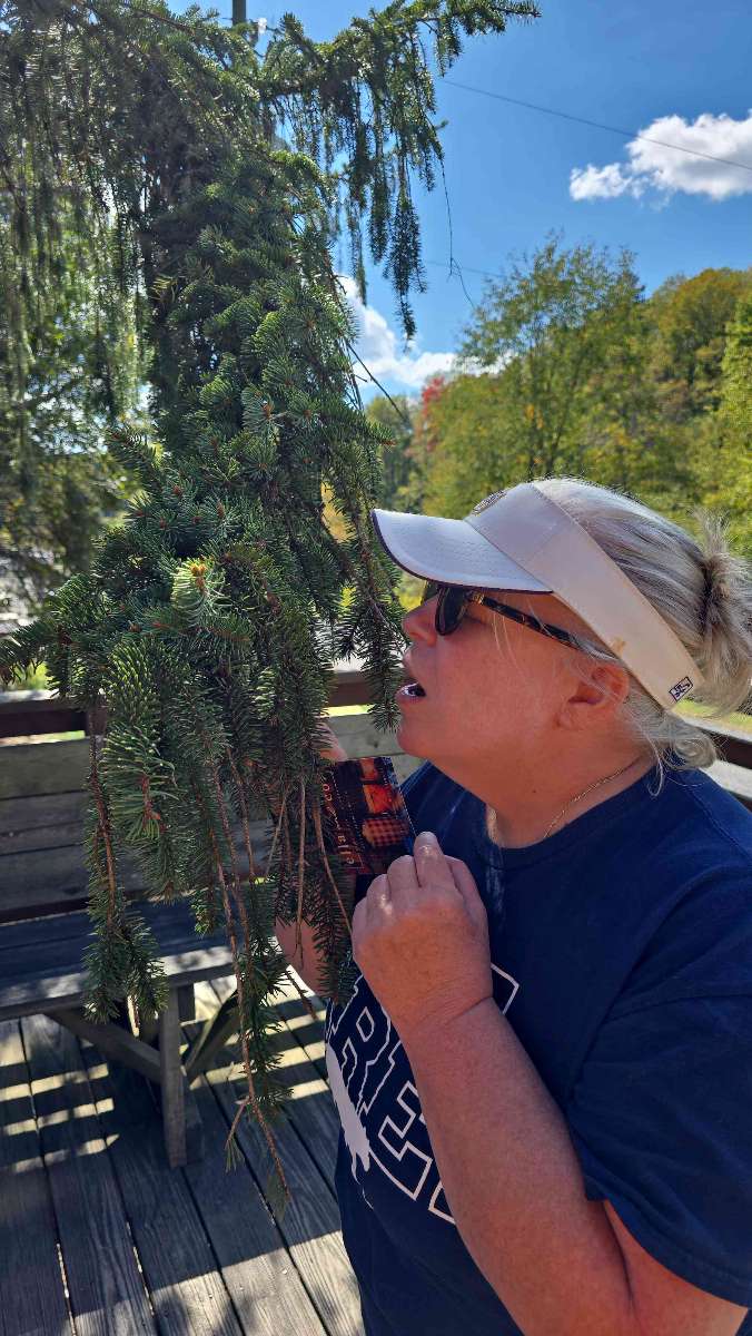 Thomas Scavenger Hunt scavenger hunt photos