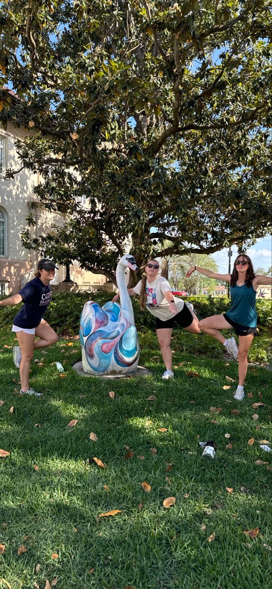 레이크랜드 스캐빈저 헌트 사진