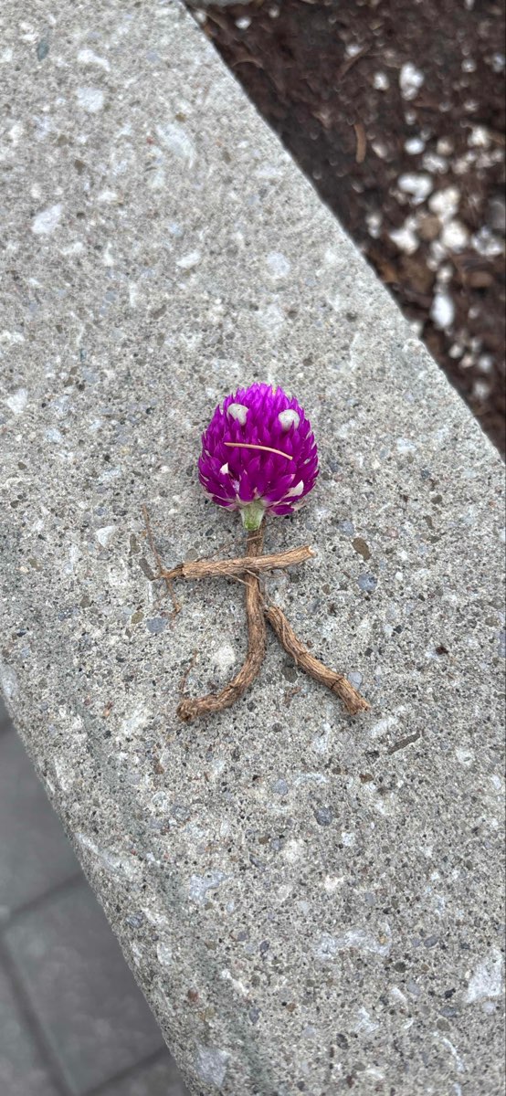 Hamilton Ontario Scavenger Hunt scavenger hunt photos