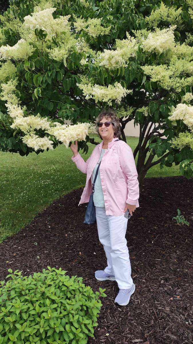 Iola Wisconsin Scavenger Hunt scavenger hunt photos