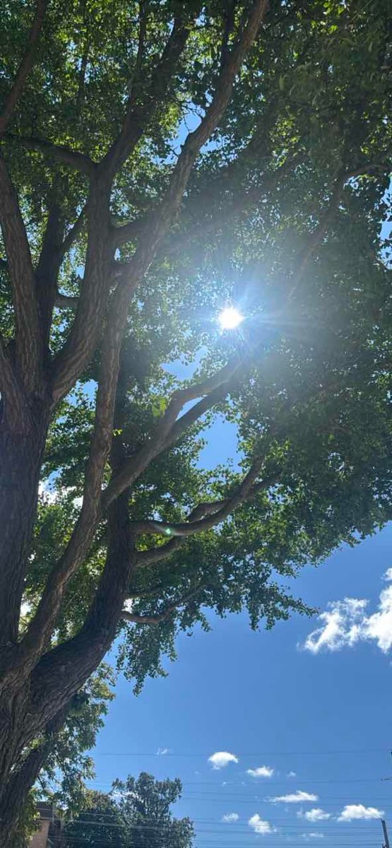 Glen Ellyn Scavenger Hunt scavenger hunt photos