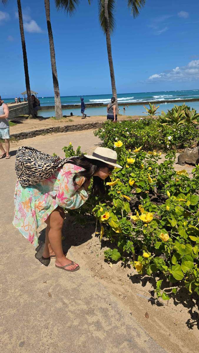 Fotografier från University of Hawaii at Manoa Scavenger Hunt skattjakt