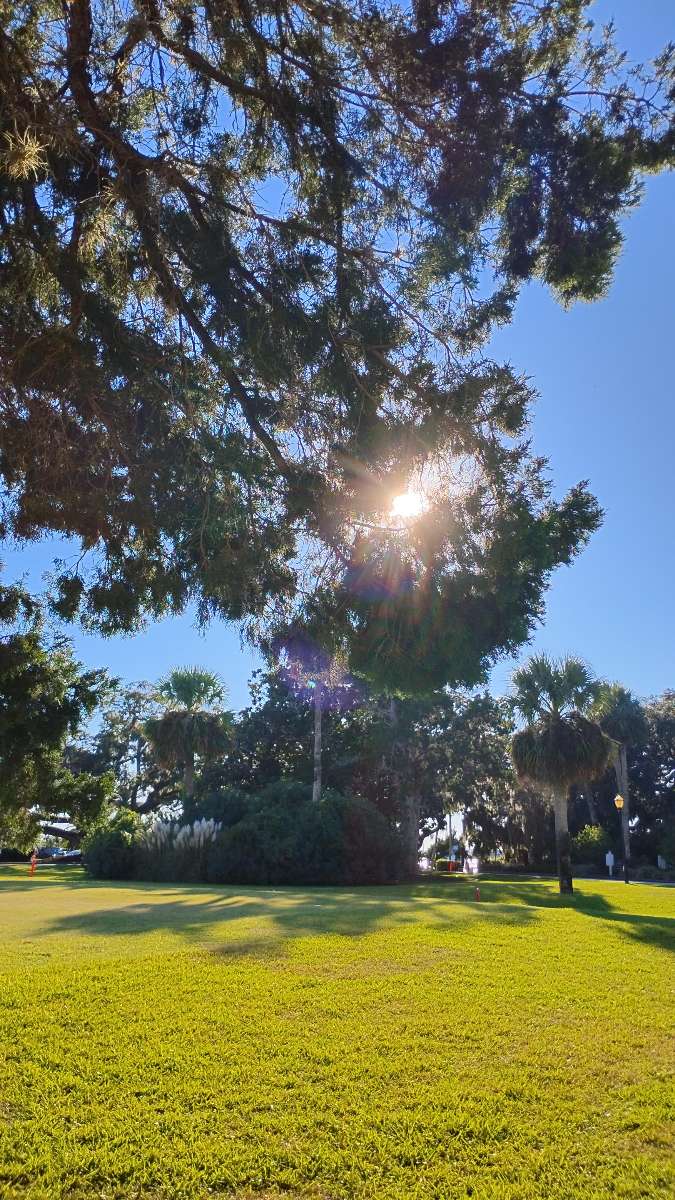 Jekyll Island Scavenger Hunt scavenger hunt photos