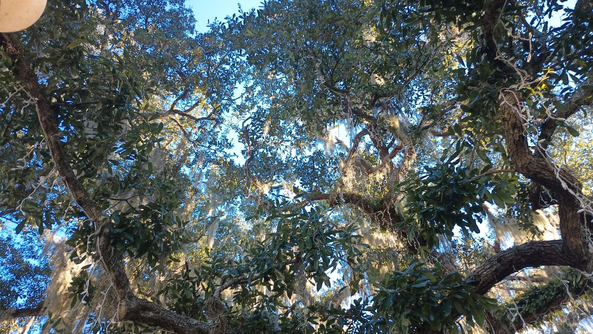 Jekyll Island Scavenger Hunt scavenger hunt photos