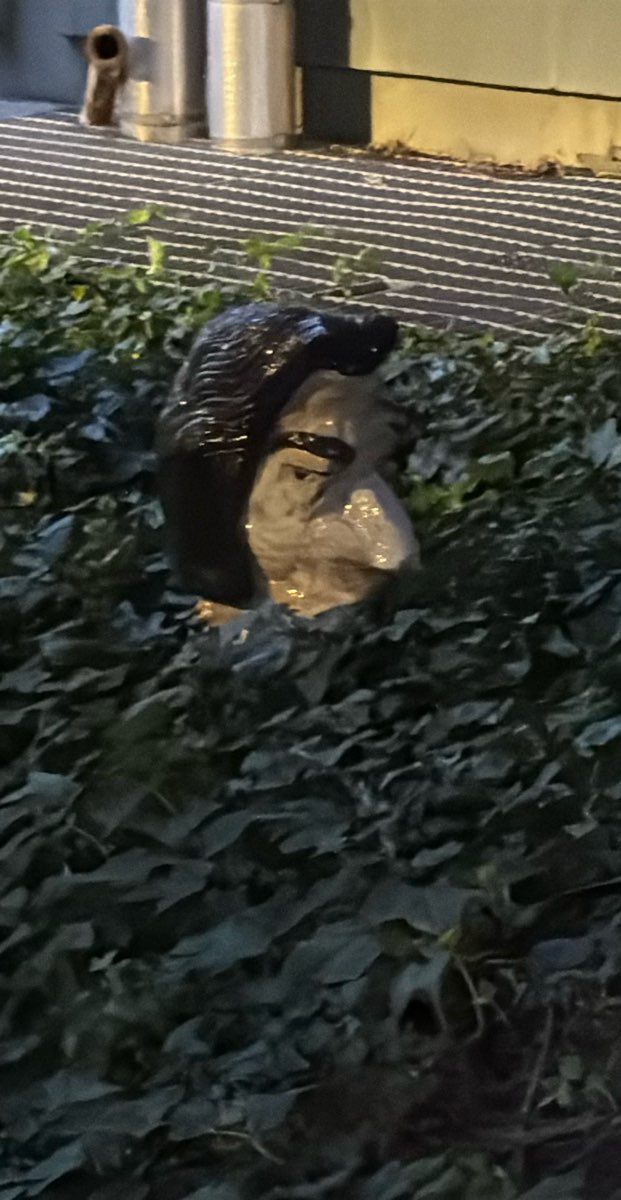 Foton fr&aring;n Scavenger Hunt vid University of California&comma; Davis