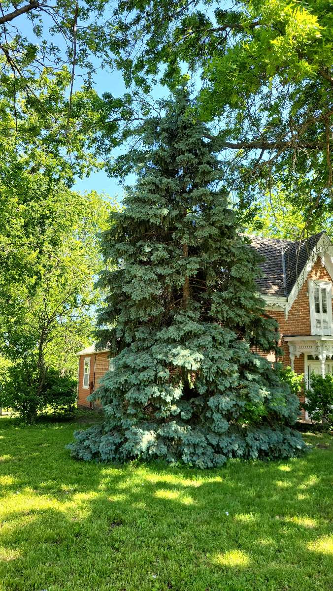 Independence Missouri Scavenger Hunt scavenger hunt photos