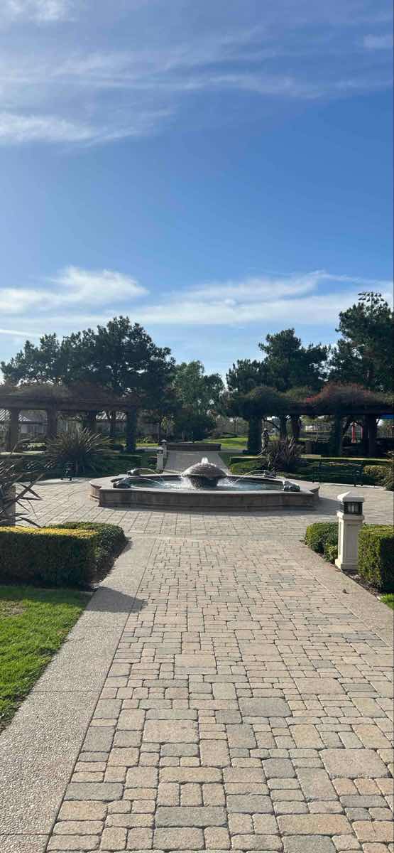 University of California--Irvine Scavenger Hunt -aarteenmets&auml;styskuvia