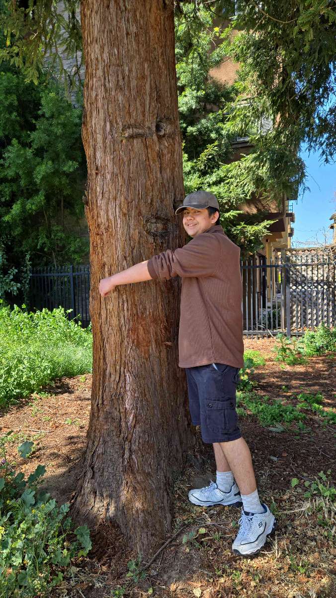 תמונות חיפוש מטמון של חיפוש המטמון בוואלי המערבי