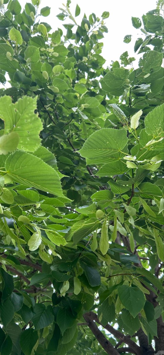 The Catholic University of America Scavenger Hunt Fotos von Schnitzeljagden