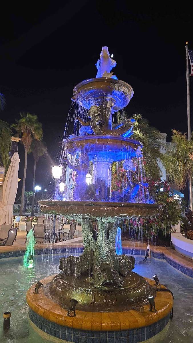 Foto della caccia al tesoro di Safety Harbor