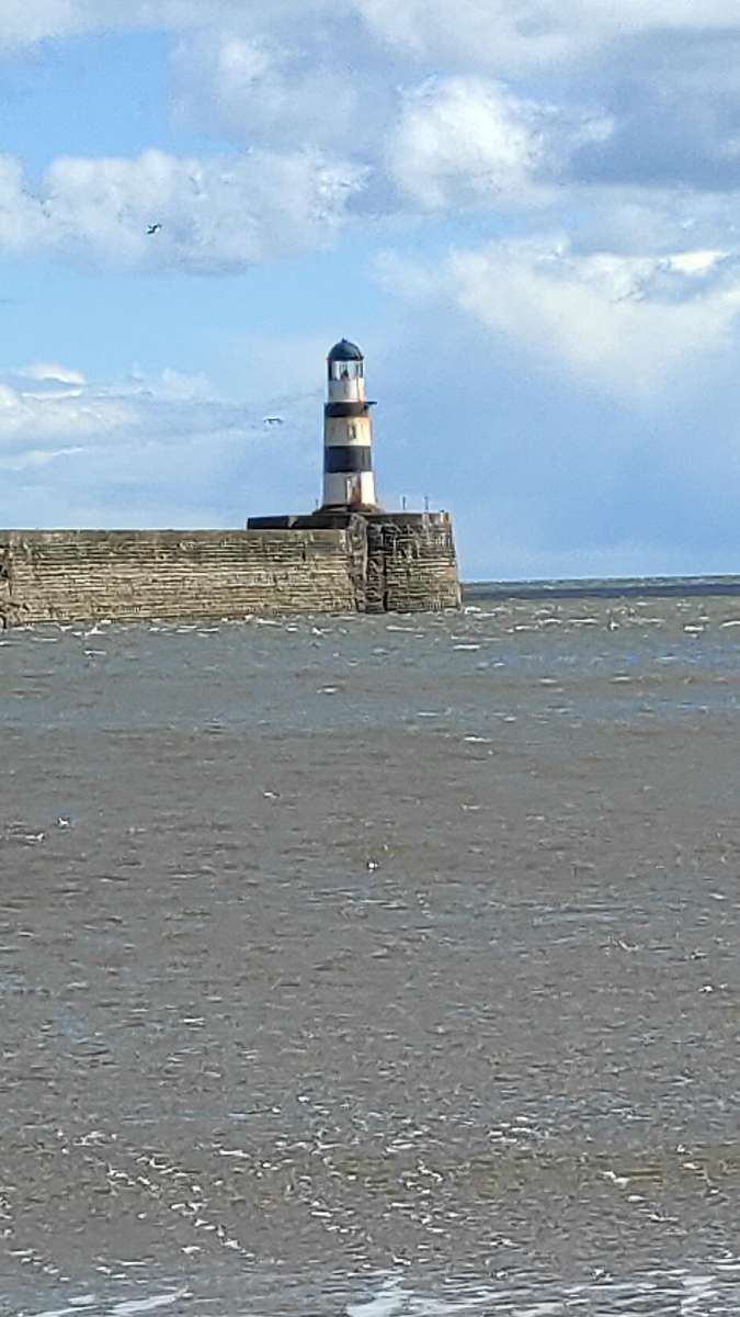 씨햄 스캐빈저 헌트 스캐빈저 헌트 사진