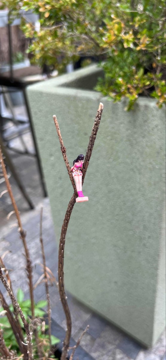 グリーア・スカベンジャーハントのスカベンジャーハント写真