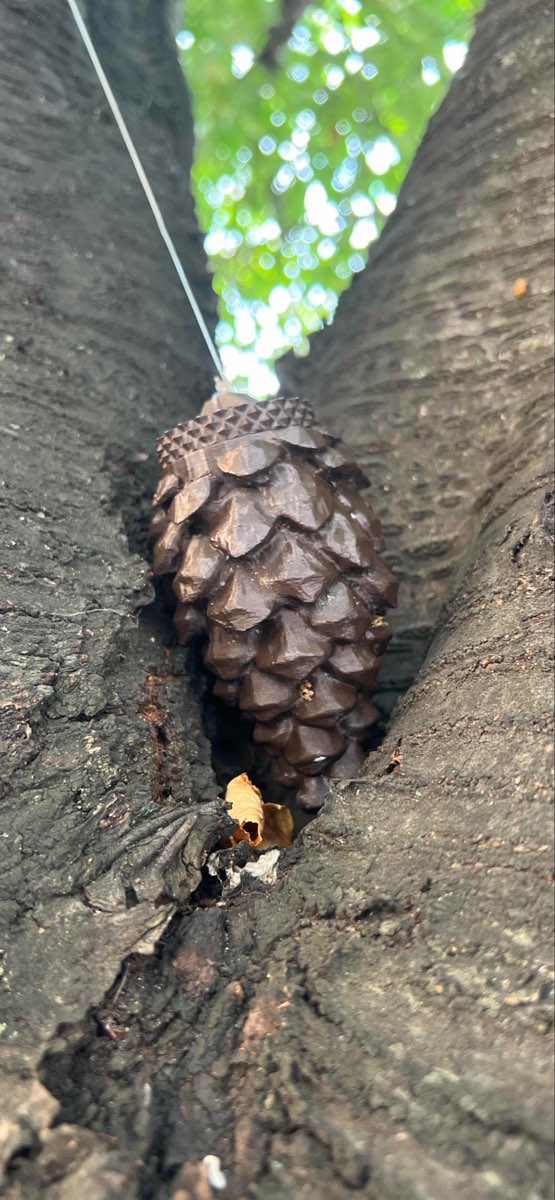 team building scavenger hunt