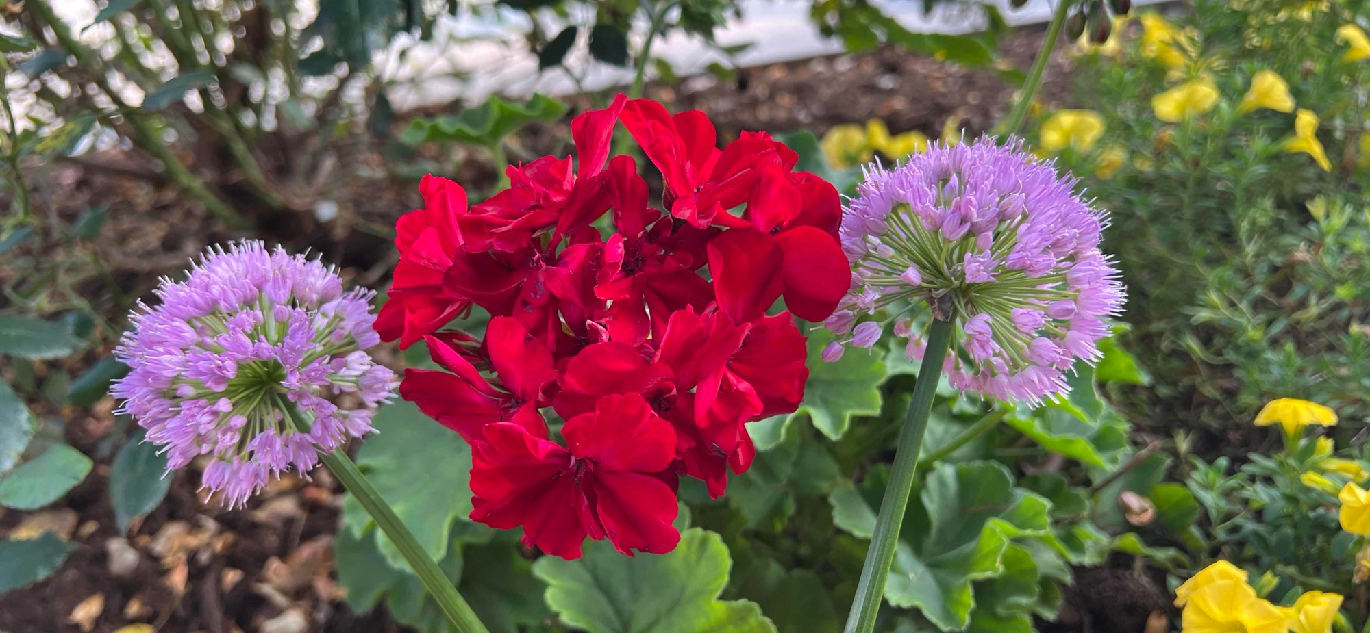 team building scavenger hunt