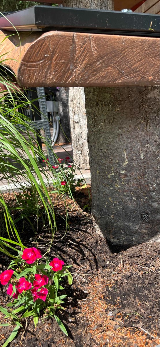 Mont-Tremblant Scavenger Hunt scavenger hunt photos