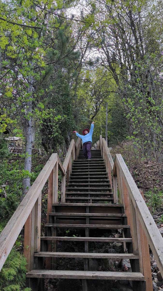 Wallace Scavenger Hunt scavenger hunt photos