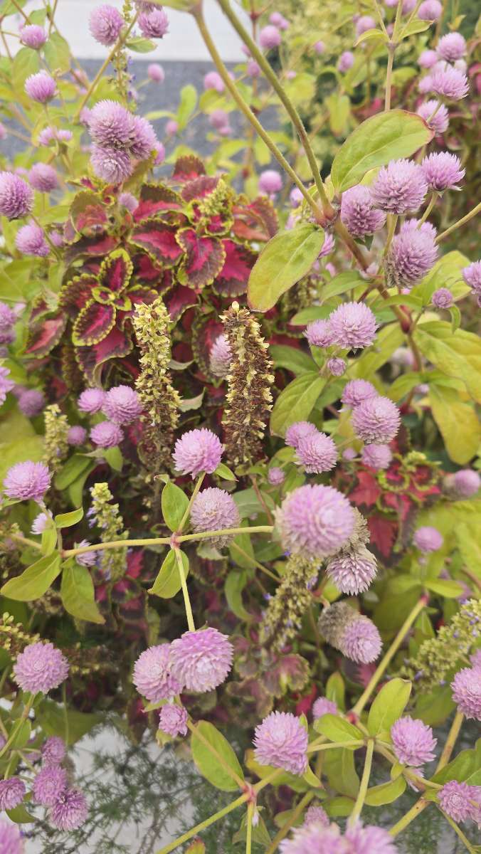 team building scavenger hunt