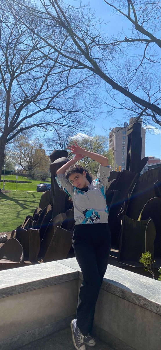 Harrisburg Scavenger Hunt foto's