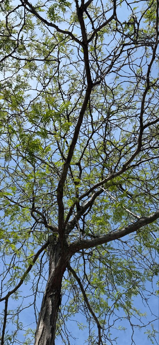 team building scavenger hunt