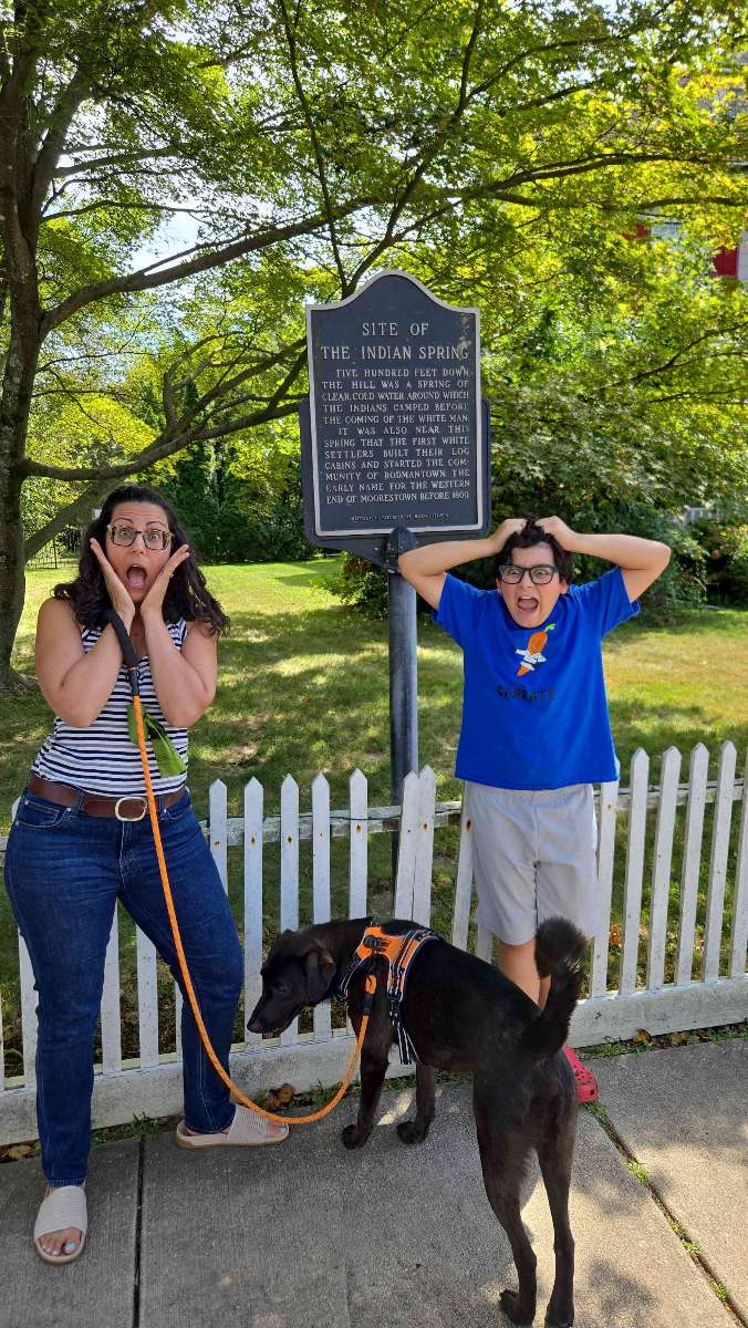 V&acirc;n&abreve;toare de comori Mount Laurel Township - fotografii v&acirc;n&abreve;toare de comori