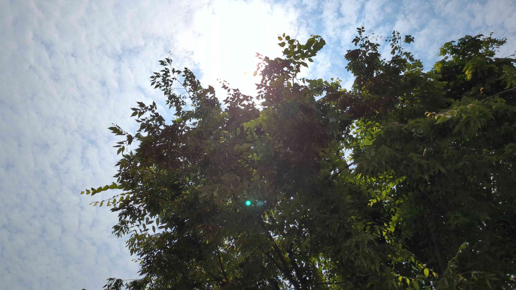 Hummelstown Scavenger Hunt scavenger hunt photos