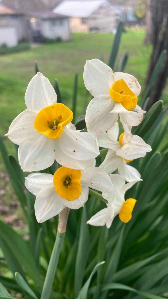 Zdjęcia z poszukiwania skarbów w Ione