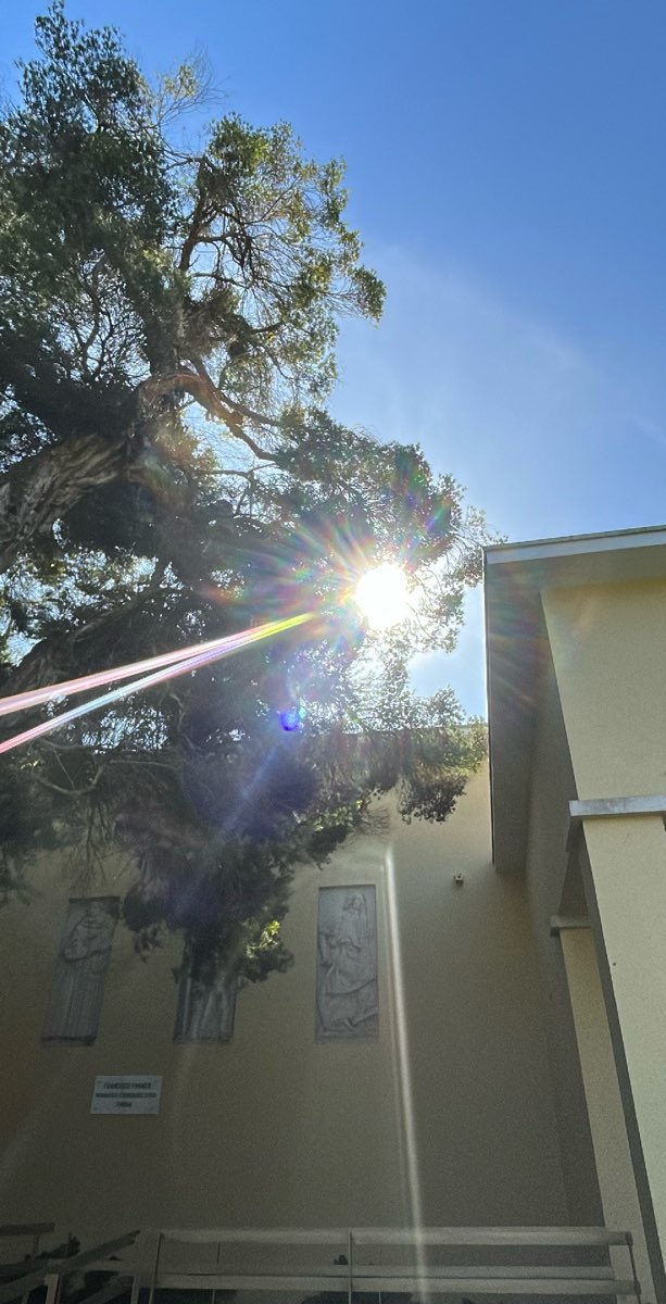 Caldas da Rainha Speurtocht-speurtochtfoto's