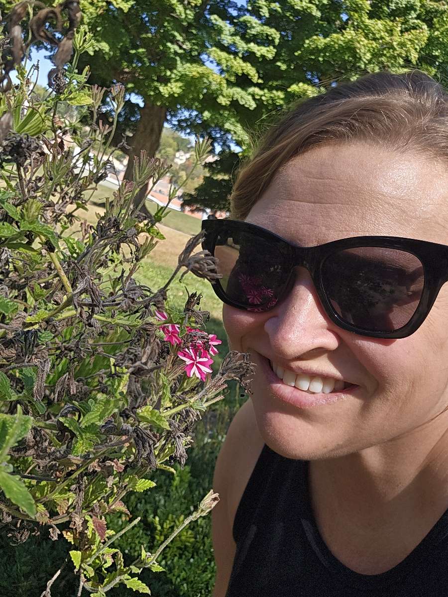 Galena Scavenger Hunt scavenger hunt photos