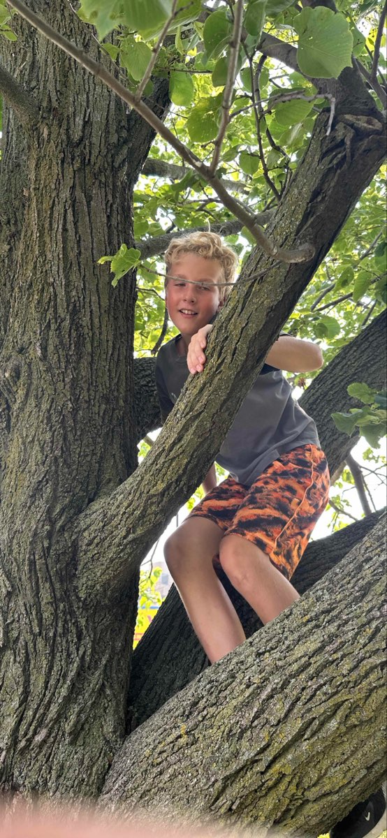 궬프 대학교 스캐빈저 헌트 스캐빈저 헌트 사진