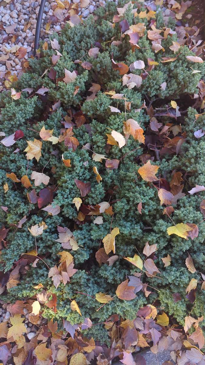 team building scavenger hunt