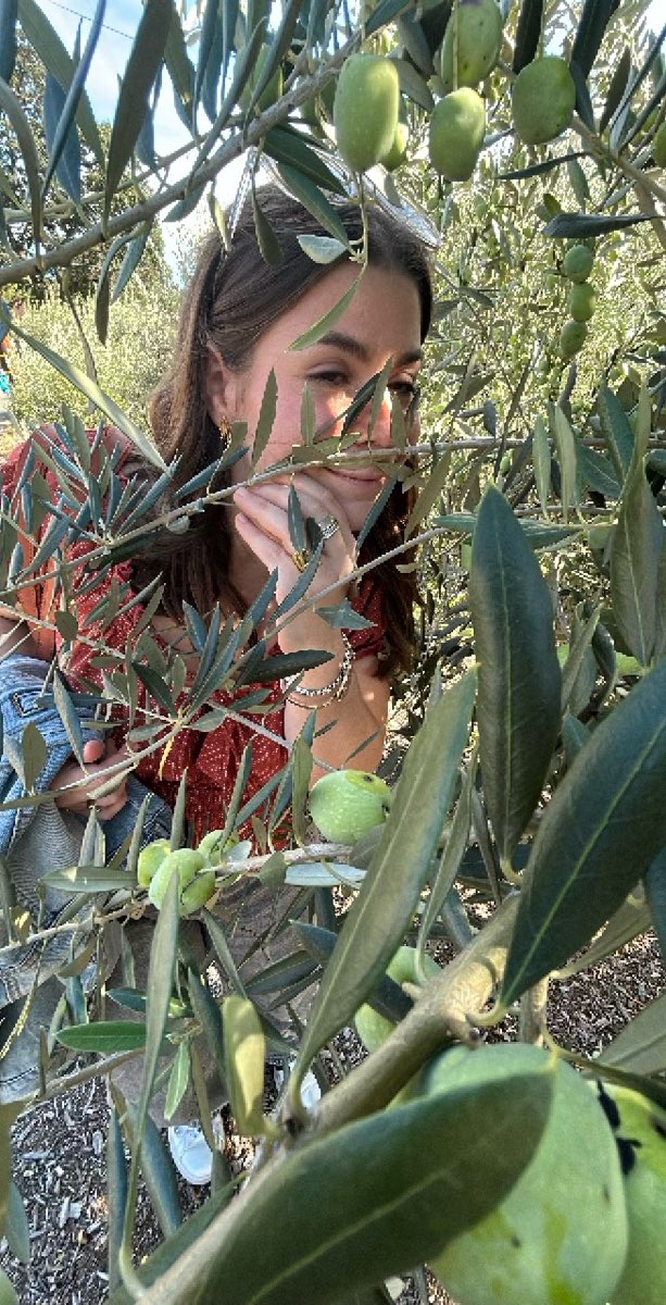 チームビルディング宝探しゲーム