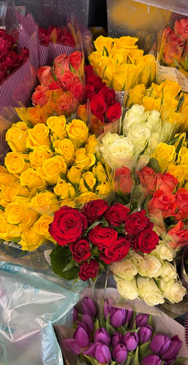 Bournemouth Scavenger Hunt scavenger hunt photos