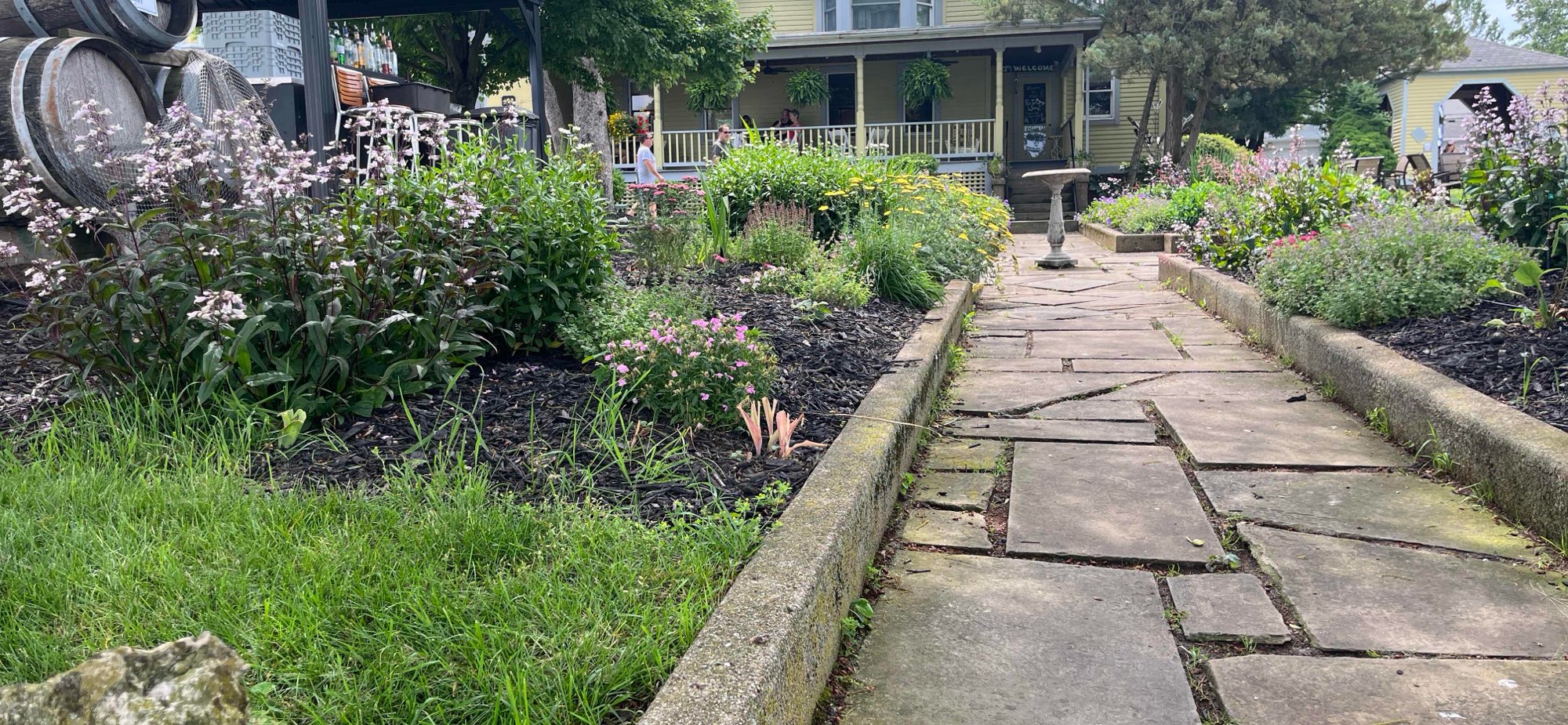 صور رحلة البحث عن الكنز في بوت إن باي