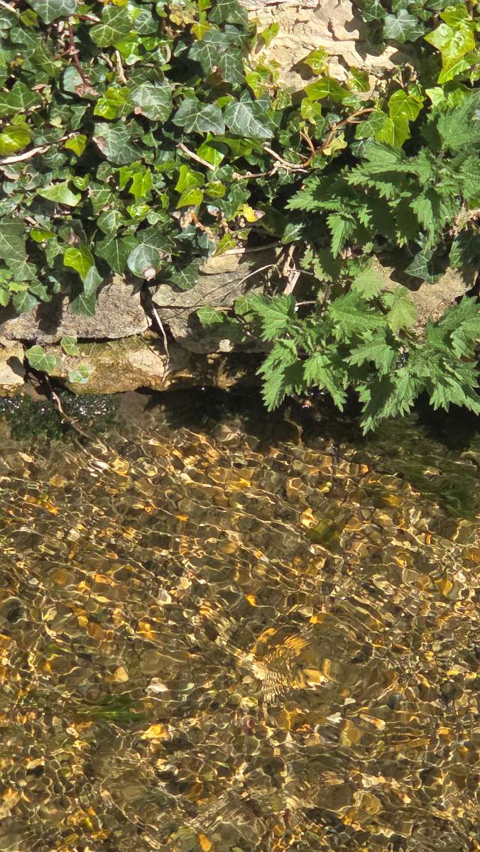 Fotky z lovu pokladů Bourton on the Water