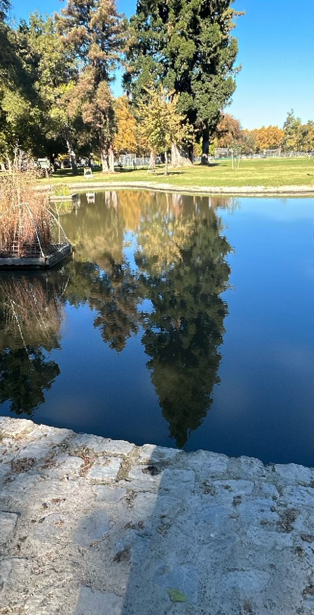 Sacramento Downtown Scavenger Hunt scavenger hunt photos