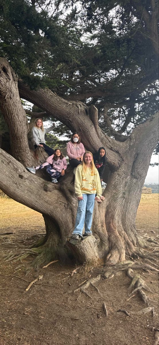 San Francisco Downtown Scavenger Hunt scavenger hunt photos