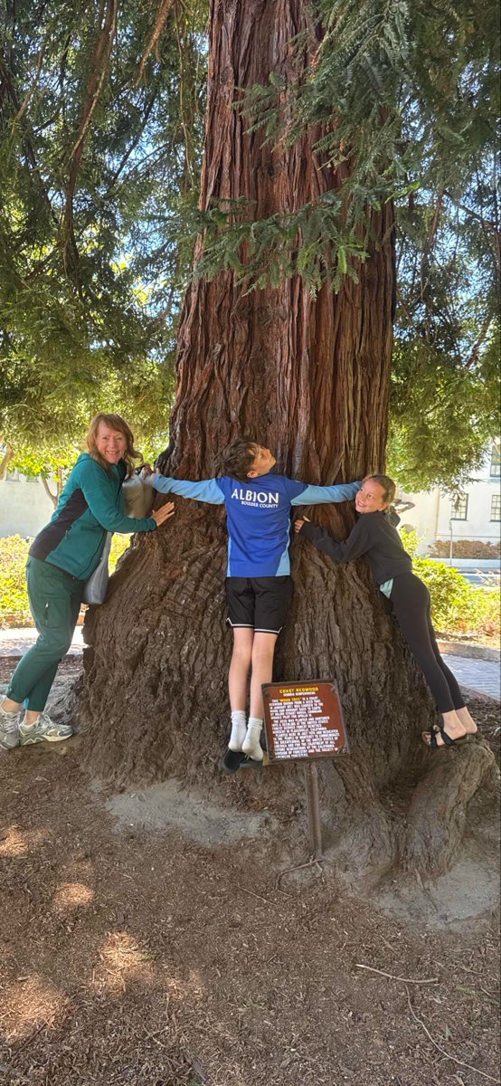 Monterey Scavenger Hunt scavenger hunt photos