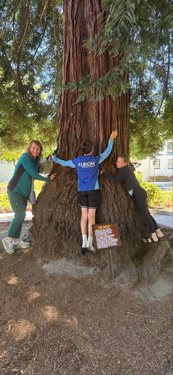 Monterey Downtown Schnitzeljagd Fotos