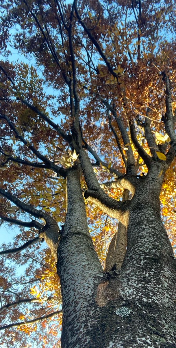 Madison Indiana Scavenger Hunt scavenger hunt photos