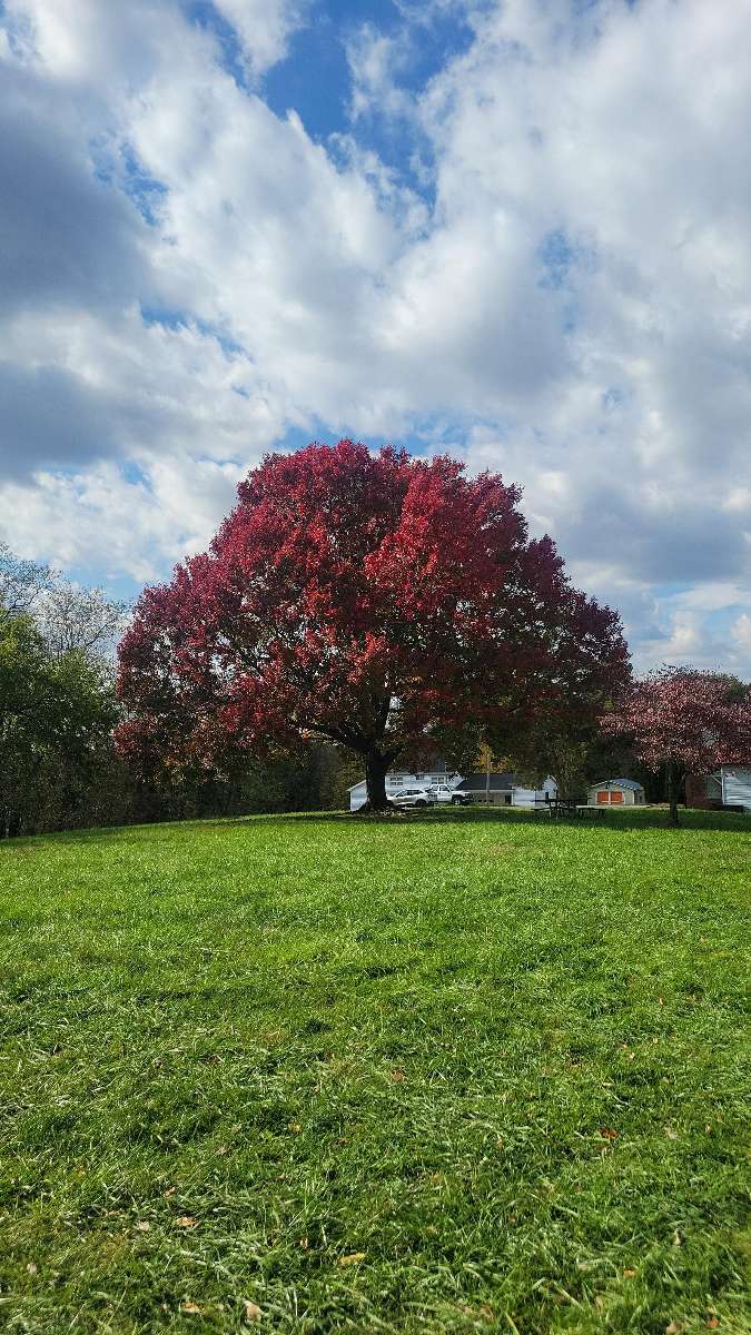Harpers Ferry Scavenger Hunt scavenger hunt photos