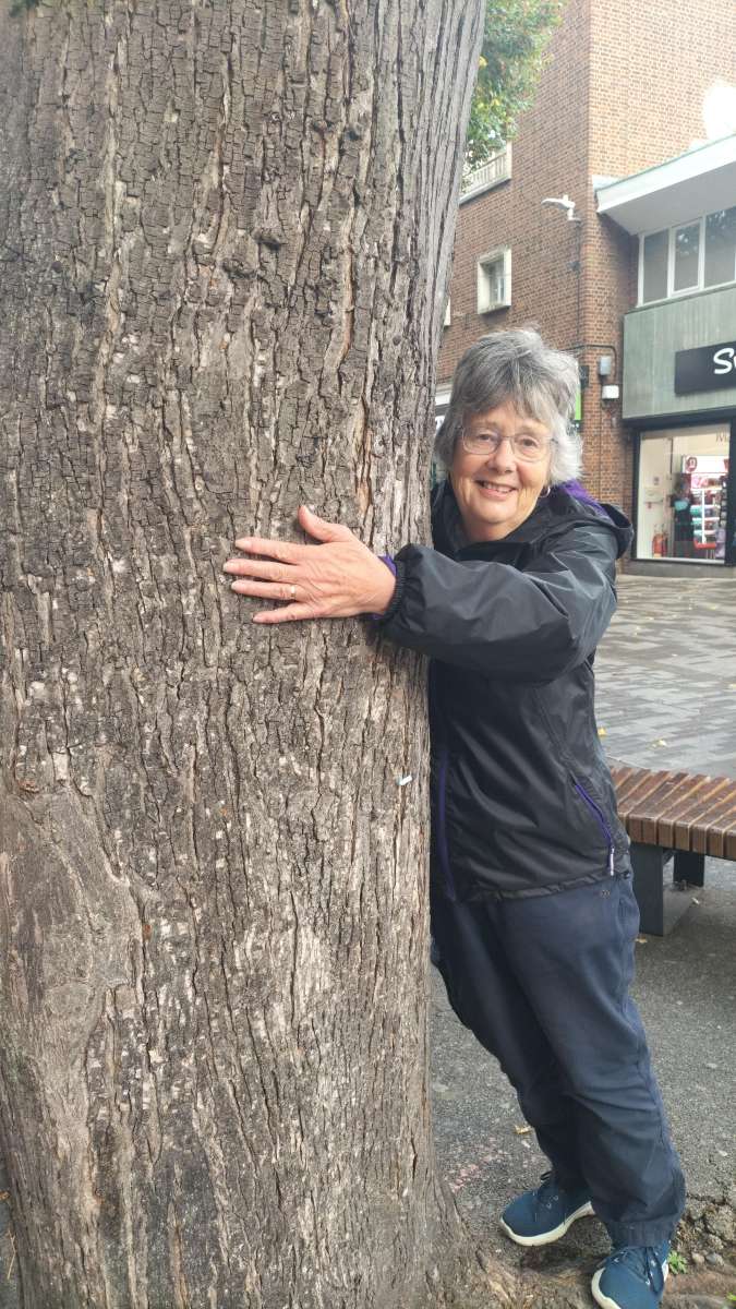 Fotografii vânătoare de comori Tur Fantomatic Canterbury