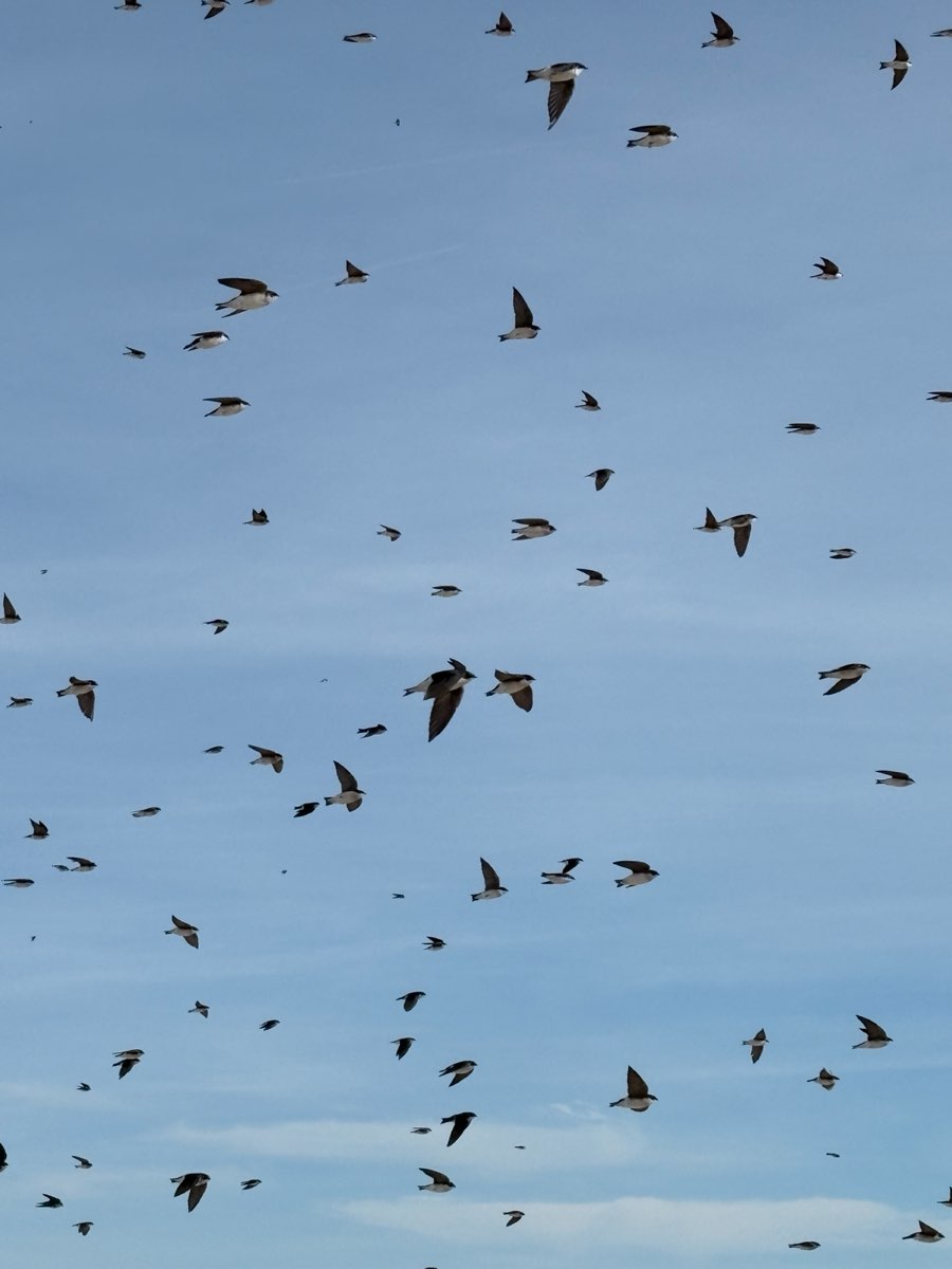 开普梅波因特寻宝猎人寻宝猎人照片