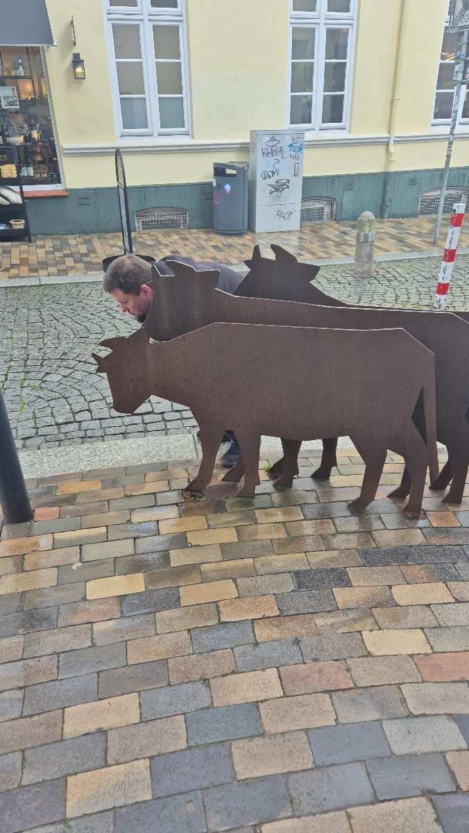 Fotografii ale jocului de vânătoare de comori din Husum