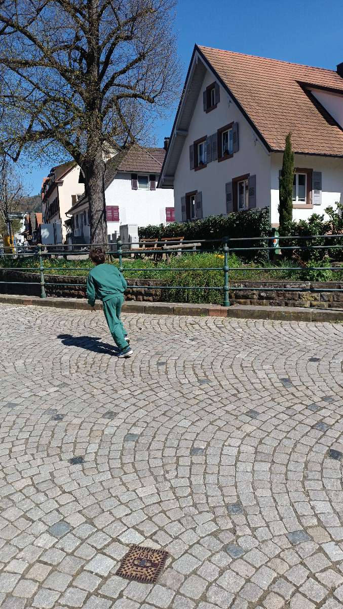 Fotografii de la Cursa de Orientare Gengenbach