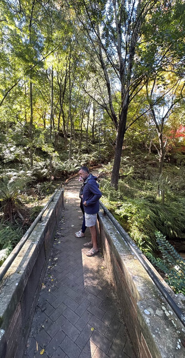 Katoomba Scavenger Hunt hazine avı fotoğrafları