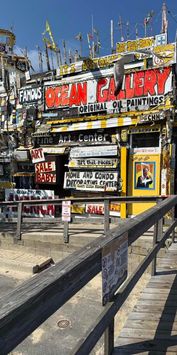 Ocean City Scavenger Hunt scavenger hunt photos