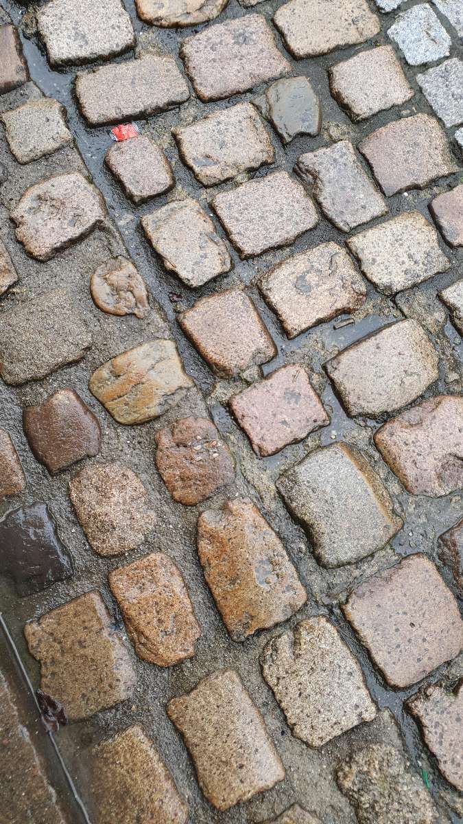 Gengenbach Schnitzeljagd Schnitzeljagd-Fotos