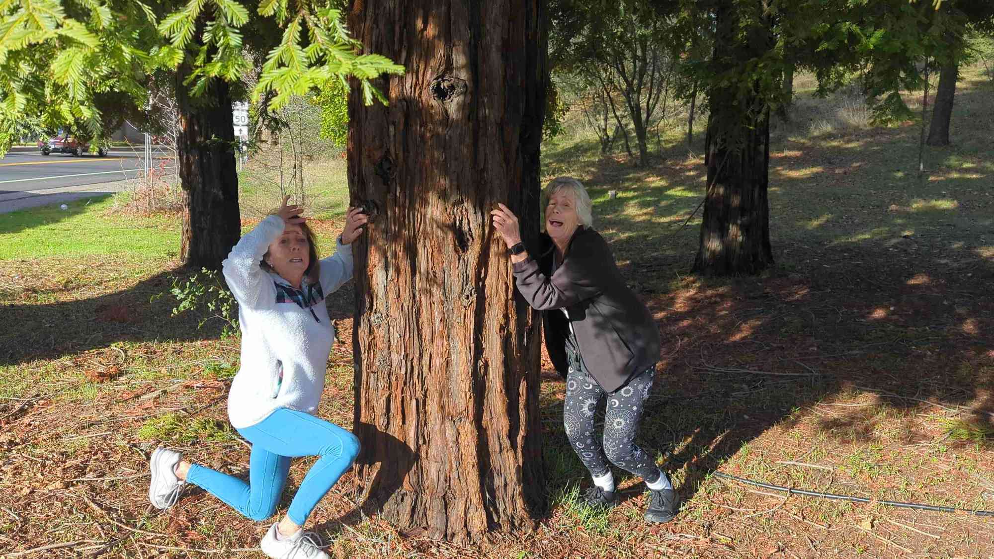 Fotos de la búsqueda del tesoro en Placerville